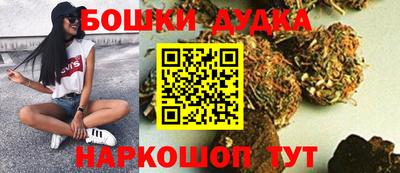 шишки Будённовск