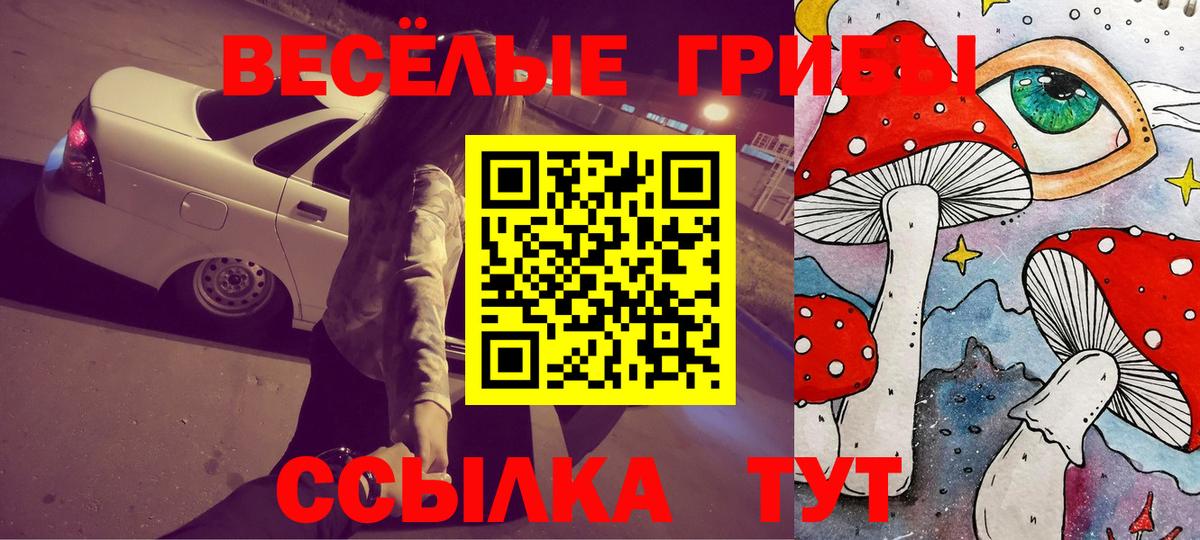 Псилоцибиновые грибы Psilocybine cubensis Можайск