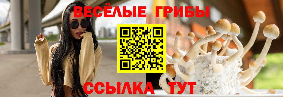 Можайск  Галлюциногенные грибы мухоморы  Вход с VPN  Галлюциногенные грибы Cubensis 